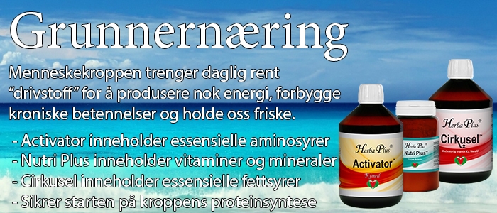 Grunnernæring kan hjelpe deg med å produsere nok energi, forebygge kroniske betennelser og holde deg frisk.