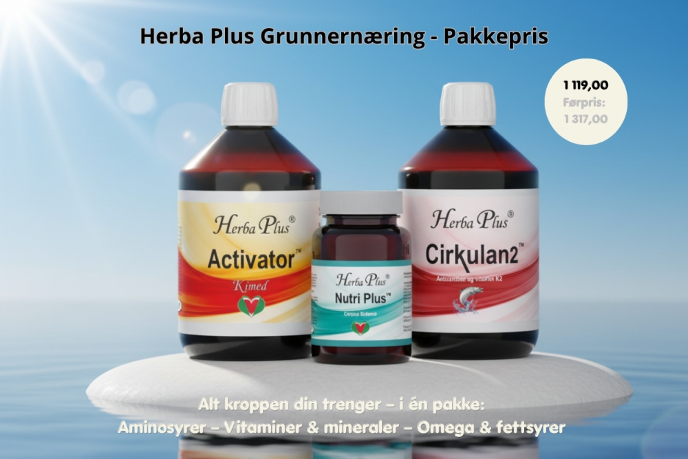 Grunnernæring kan hjelpe deg med å produsere nok energi, forebygge kroniske betennelser og holde deg frisk.